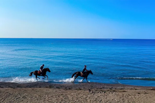 Experience horse Riding_Santorini_Akrotiri