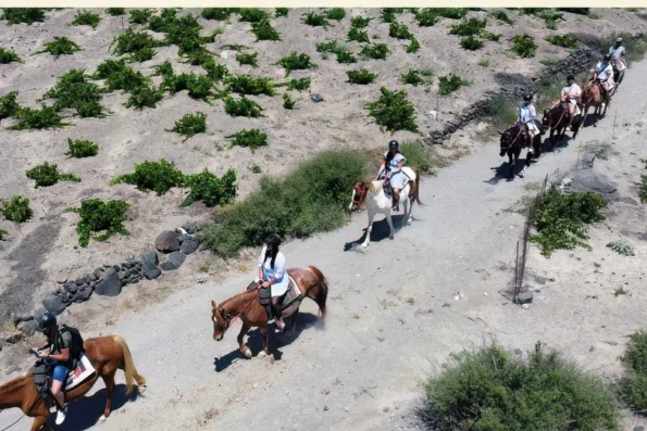 Experience horse Riding_Santorini_Akrotiri