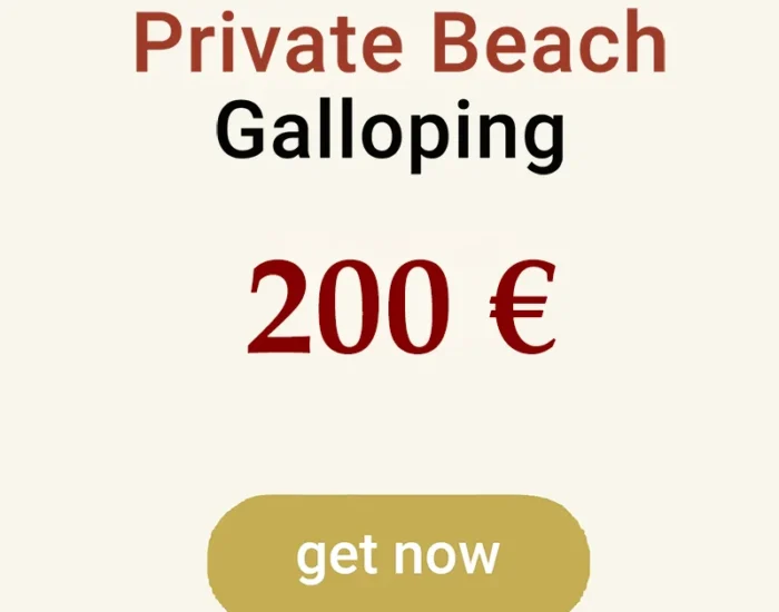 Private beach Galloping1